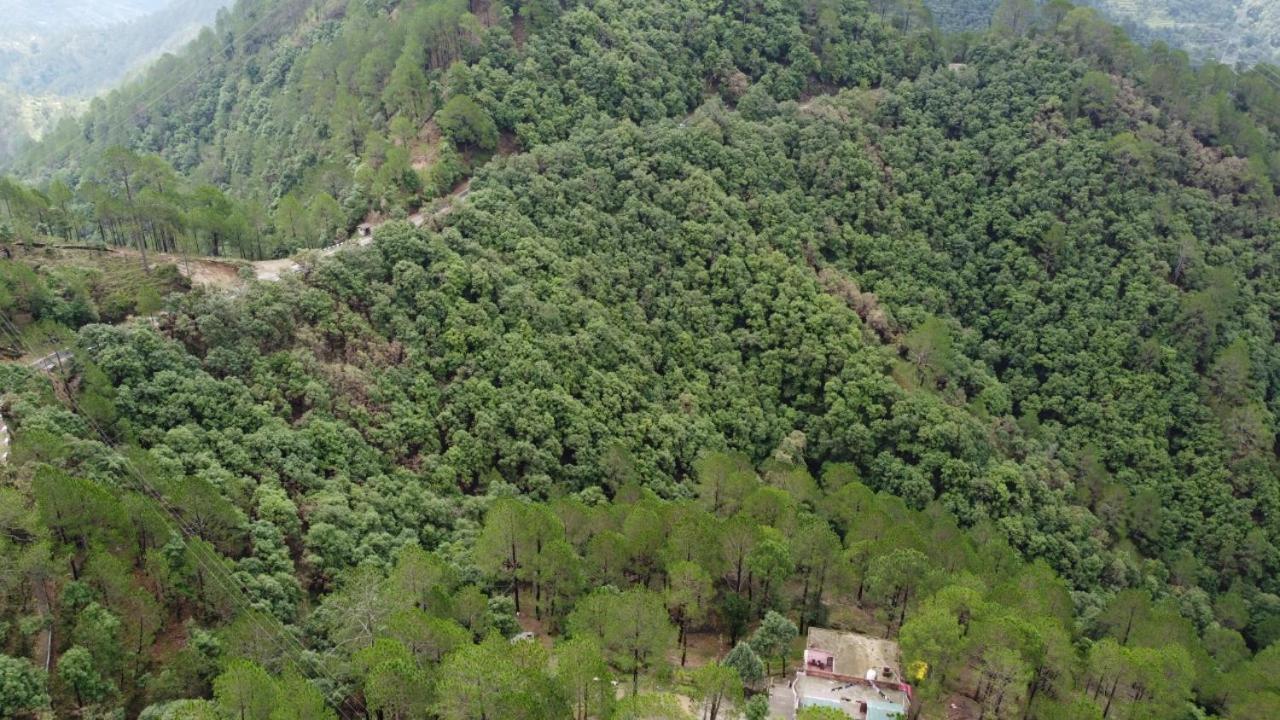 Blusalzz Escapade Resort Лансдаун Экстерьер фото